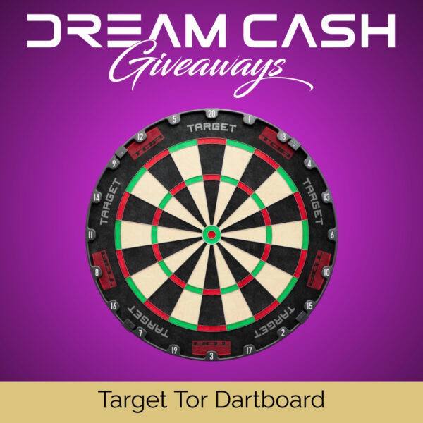 Target Tor Dartboard (2)