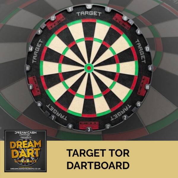 Target Tor Dartboard(3)