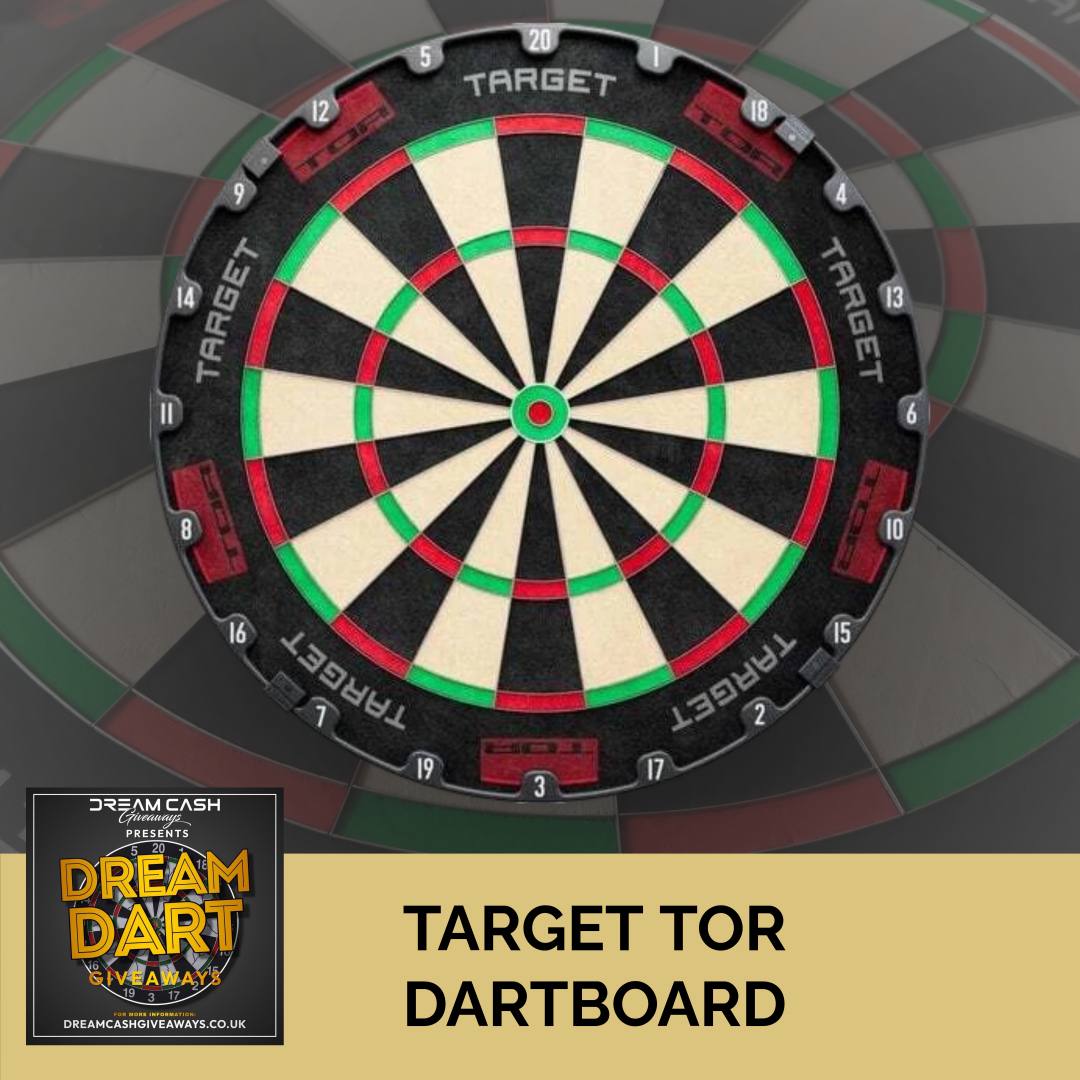 Target Tor Dartboard(3)